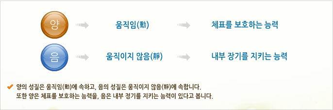 음양의 생리활동과 병리활동