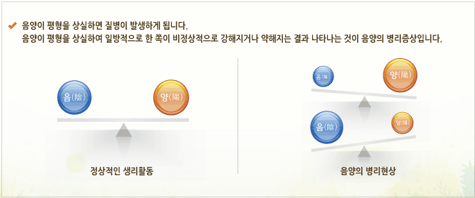 음양의 평행상실