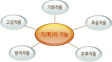 오행귀류도